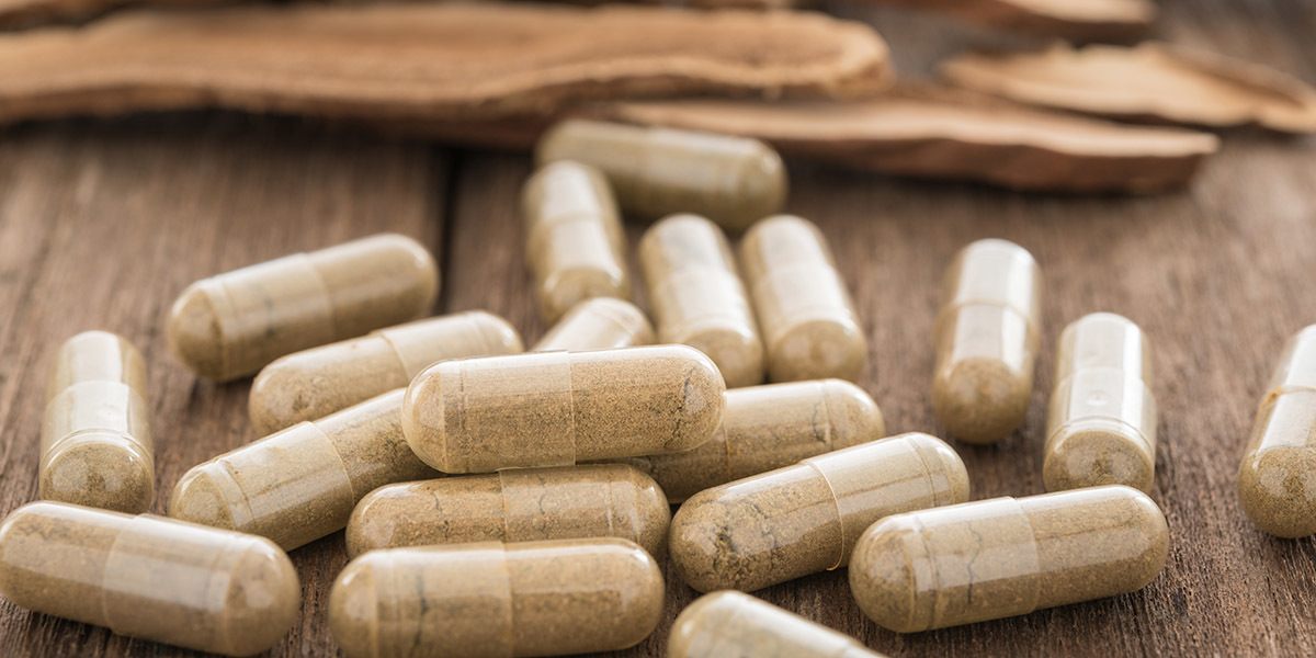 The Rise of Mushroom Supplements in the Health and Wellness Industry